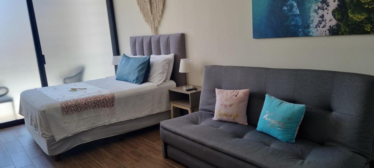 Cozy Studio With Wifi & Netflix Πλάγια Ντελ Κάρμεν Εξωτερικό φωτογραφία