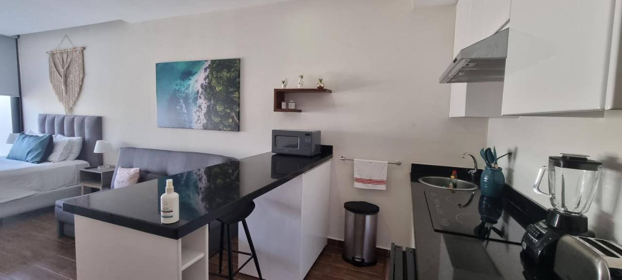 Cozy Studio With Wifi & Netflix Πλάγια Ντελ Κάρμεν Εξωτερικό φωτογραφία